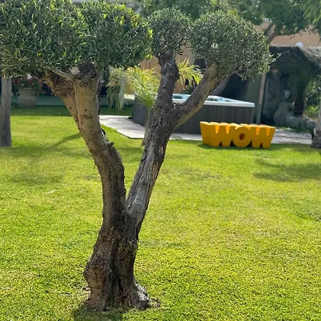 Parco Delle Agavi Hotel Forio di Ischia